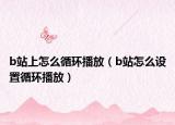 b站上怎么循环播放（b站怎么设置循环播放）