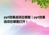 ppt效果选项在哪里（ppt效果选项在哪里打开）