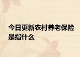 今日更新农村养老保险是指什么