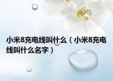 小米8充电线叫什么（小米8充电线叫什么名字）