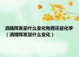 酒精挥发是什么变化物理还是化学（酒精挥发是什么变化）
