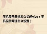 手机显示网速怎么关闭vivo（手机显示网速怎么设置）