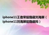 iphone11王者荣耀隐藏刘海屏（iphone11刘海屏能隐藏吗）