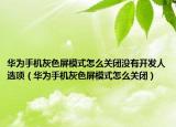 华为手机灰色屏模式怎么关闭没有开发人选项（华为手机灰色屏模式怎么关闭）