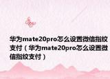 华为mate20pro怎么设置微信指纹支付（华为mate20pro怎么设置微信指纹支付）