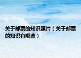 关于邮票的知识照片（关于邮票的知识有哪些）