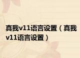 真我v11语言设置（真我v11语言设置）