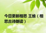 今日更新相思 王维（相思古诗朗读）
