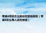 苹果6手机怎么换动态壁纸教程（苹果6怎么导入动态壁纸）