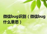 微信bug识别（微信bug什么意思）