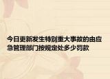 今日更新发生特别重大事故的由应急管理部门按规定处多少罚款