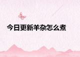 今日更新羊杂怎么煮