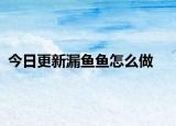 今日更新漏鱼鱼怎么做