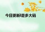今日更新l是多大码