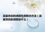 温室效应的成因危害解决方法（温室效应的成因是什么）
