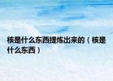 核是什么东西提炼出来的（核是什么东西）
