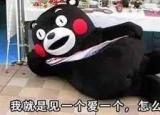 今日更新爬墙是什么意思（爬墙现在却拿来追星）