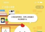 今日更新最大的企鹅叫什么（世界上体型最大的企鹅是）