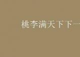 今日更新桃李满天下的下一句（桃李满天下的上一句是什么）