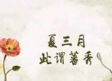今日更新夏天养生之道（内经中的夏季养生之道）