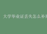 今日更新大学毕业证丢了怎么办（大学毕业证丢失怎么补原件）