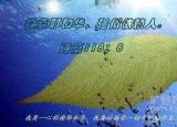 今日更新依靠耶和华（依靠耶和华歌曲）