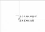 今日更新图片无法显示（word中插入的图片不显示怎么办）