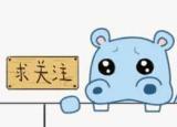 今日更新visa是什么（从早期Visa看加密网络）