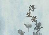 今日更新美卡芬艾（那些漂洋过海的洋品牌）
