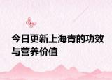 今日更新上海青的功效与营养价值
