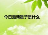 今日更新量子是什么