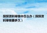 探探资料审核中怎么办（探探资料审核要多久）