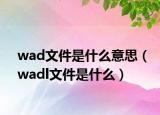 wad文件是什么意思（wadl文件是什么）