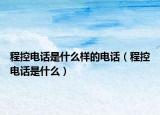 程控电话是什么样的电话（程控电话是什么）