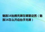 魅族16抬腕亮屏在哪里设置（魅族16怎么开启抬手亮屏）