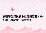 手机怎么样免费下载付费歌曲（手机怎么样免费下载歌曲）