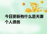 今日更新有什么是夫妻个人债务