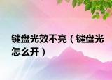 键盘光效不亮（键盘光怎么开）
