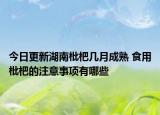 今日更新湖南枇杷几月成熟 食用枇杷的注意事项有哪些