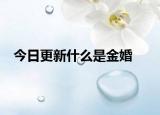 今日更新什么是金婚