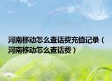 河南移动怎么查话费充值记录（河南移动怎么查话费）