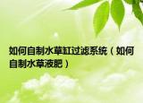 如何自制水草缸过滤系统（如何自制水草液肥）