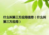 什么叫第三方应用信息（什么叫第三方应用）