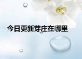 今日更新芽庄在哪里