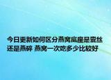 今日更新如何区分燕窝底座是囊丝还是燕碎 燕窝一次吃多少比较好
