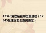 12345受理后在哪里看进程（12345受理后怎么查询进度）