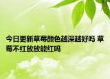 今日更新草莓颜色越深越好吗 草莓不红放放能红吗