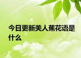 今日更新美人蕉花语是什么