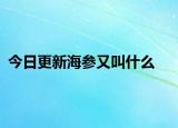 今日更新海参又叫什么