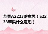 苹果A2223啥意思（a2233苹果什么意思）